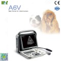SonoScape A6v veterinary ultrasound : ultrasonido obstetrico